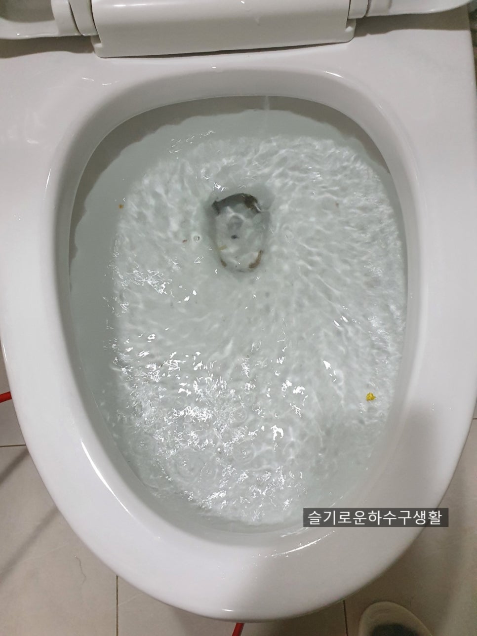 수원변기막힘 변기볼팬 빼내기 권선구 영통구 변기뚫음