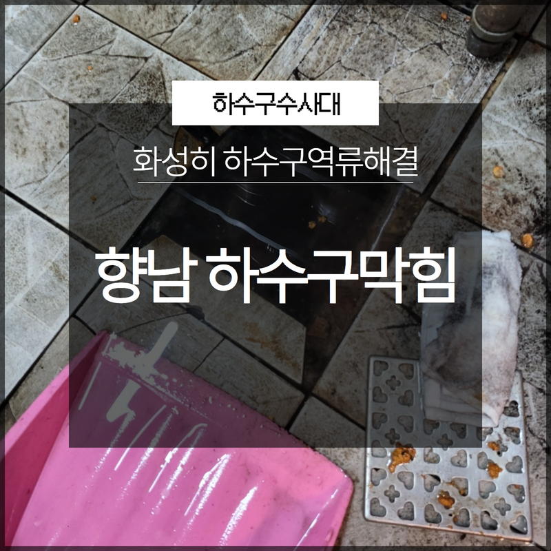 화성시 향남하수구막힘 역류해결 전문가의 도움이 필요해요. 원인 분석