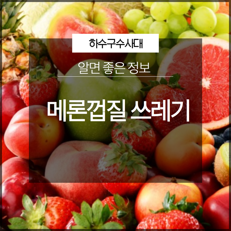 메론껍질 음식물 쓰레기 배출 방법