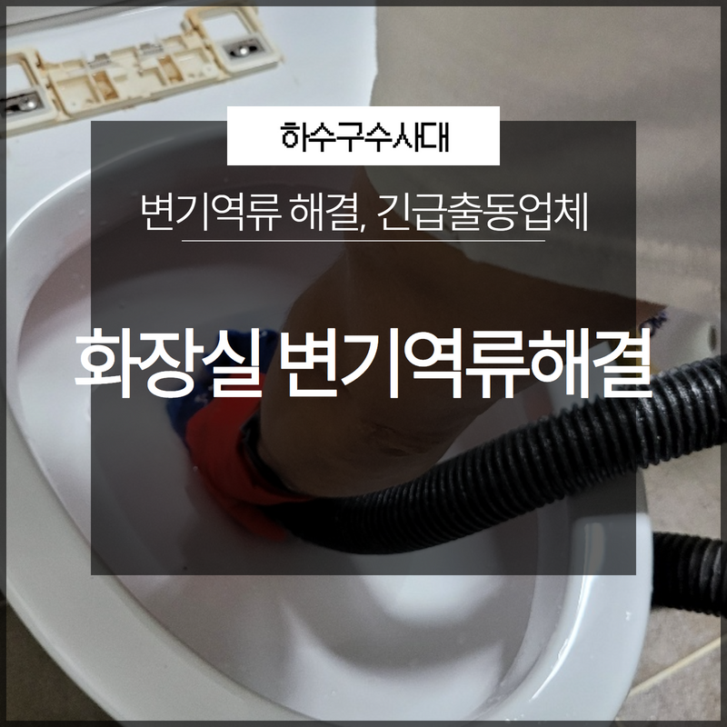 화장실 변기역류 해결전문 긴급출동업체 정확한 문제 해결!