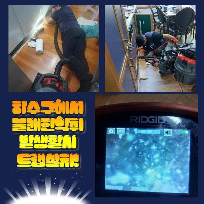 성남 수내동변기역류 대장동 악취차단 설비출장 원인 분석